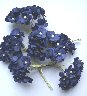 Цветы вишни средние 10шт синие