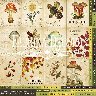 Карточки для вырезания 30,5х30,5см №1 Botany autumn