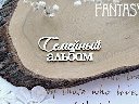 Чипборд "Надпись Семейный альбом 624" 7*2,7 см