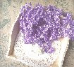 Шебби лента Lavender 14ммх1м