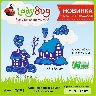 Заснеженные дома
