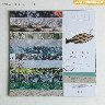 Набор бумаги с фольгированием «На рыбалку», 12 листов, 30.5 &#215; 30.5 см