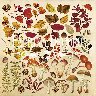 Лист для вырезания 30,5х30,5см №3 Botany autumn