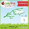 Ветка орешника