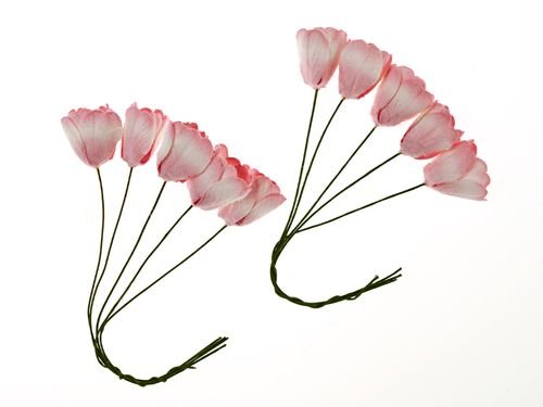 Тюльпаны розово-белые, 10шт
